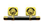 Бронзовое адвокатское сословие установленное SL004 качания ларца цвета с волочениями стального адвокатского сословия и zamak